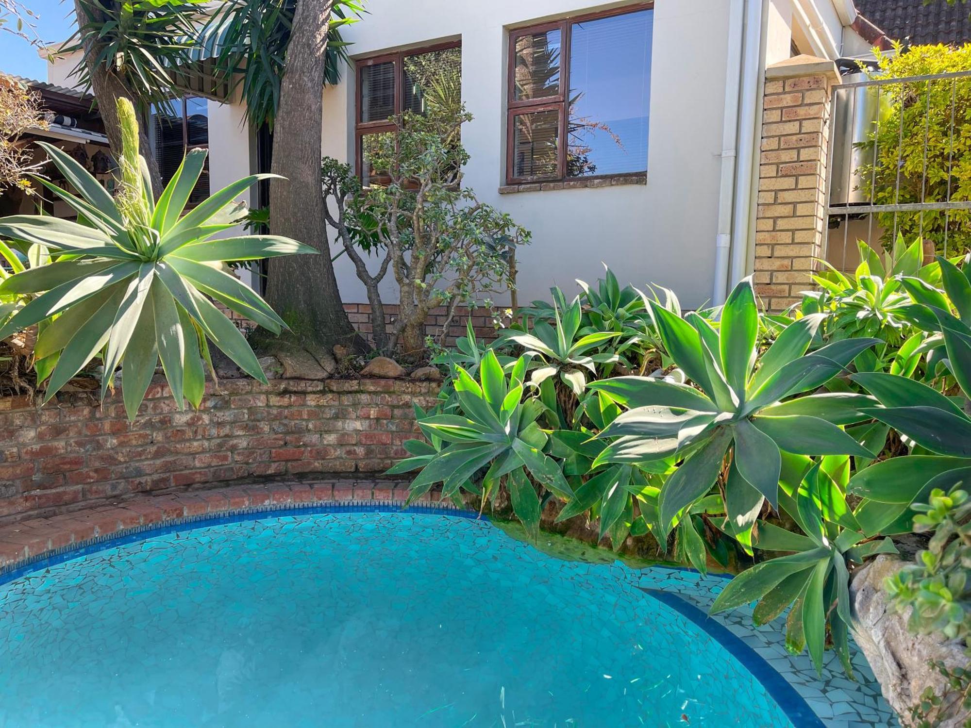 Albert Road Garden Guest House Port Elizabeth Dış mekan fotoğraf