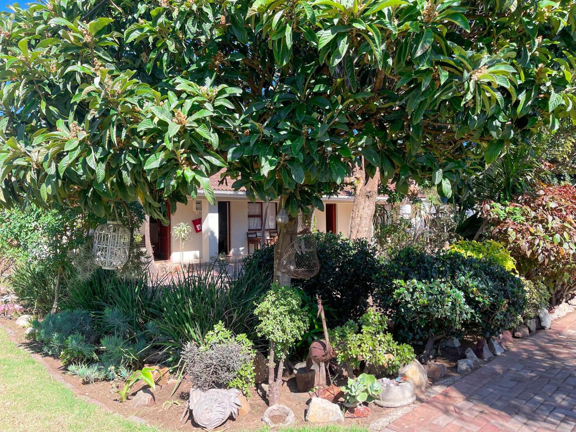 Albert Road Garden Guest House Port Elizabeth Dış mekan fotoğraf