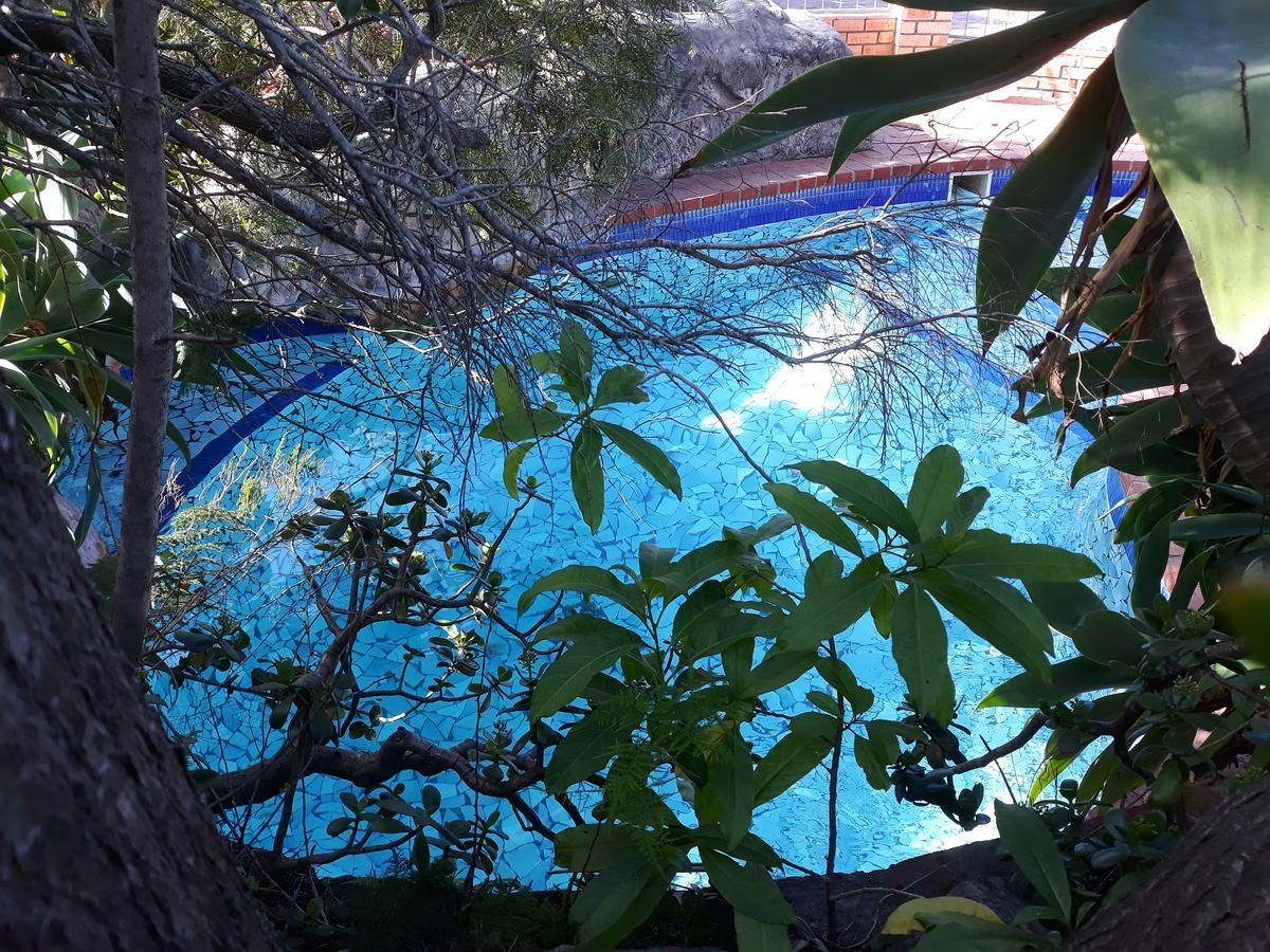 Albert Road Garden Guest House Port Elizabeth Dış mekan fotoğraf